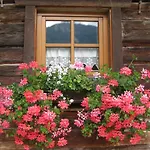 Auer's Zuahaeusl Chalet Schladming