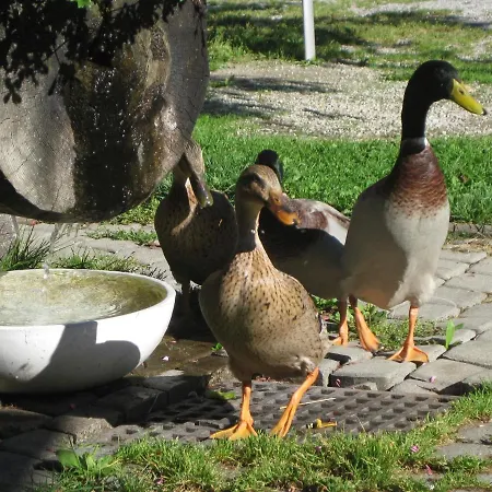 Auer's Zuahaeusl Domek alpejski
