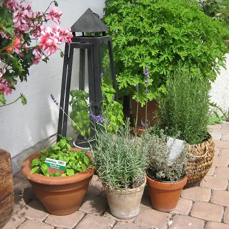 Domek alpejski Auer's Zuahaeusl