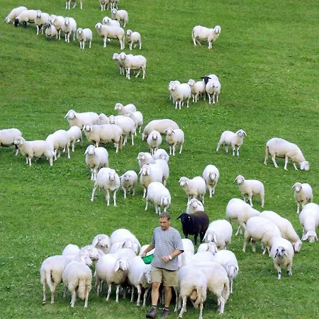 Auer's Zuahaeusl Domek alpejski Schladming