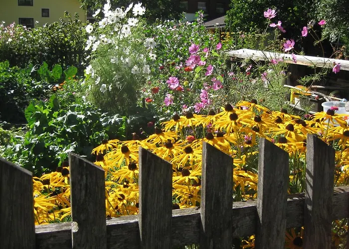 Auer's Zuahaeusl Chalet *