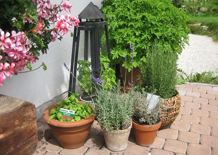 בקתה Auer's Zuahaeusl