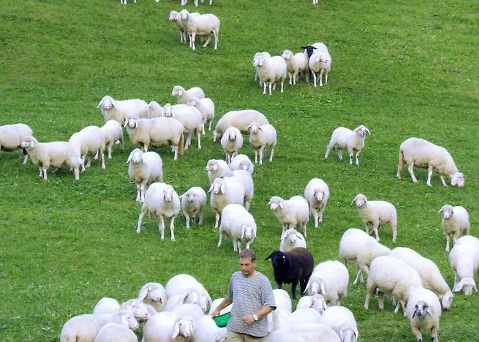 Auer's Zuahaeusl شاليه سخلادميخ